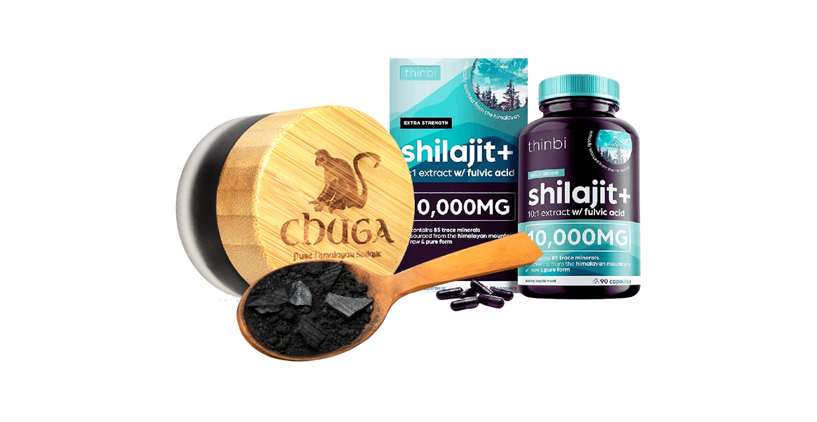 best shilajit brands 2024