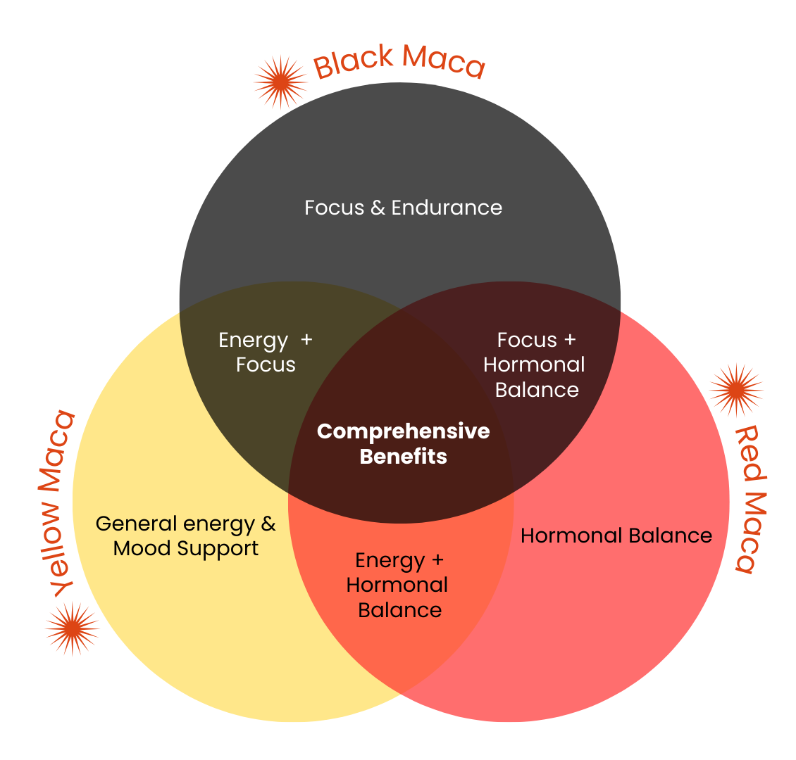 Types of Maca Roots and the benefits